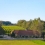 alrededor