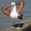 Yago