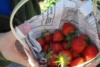 Photo of the trip