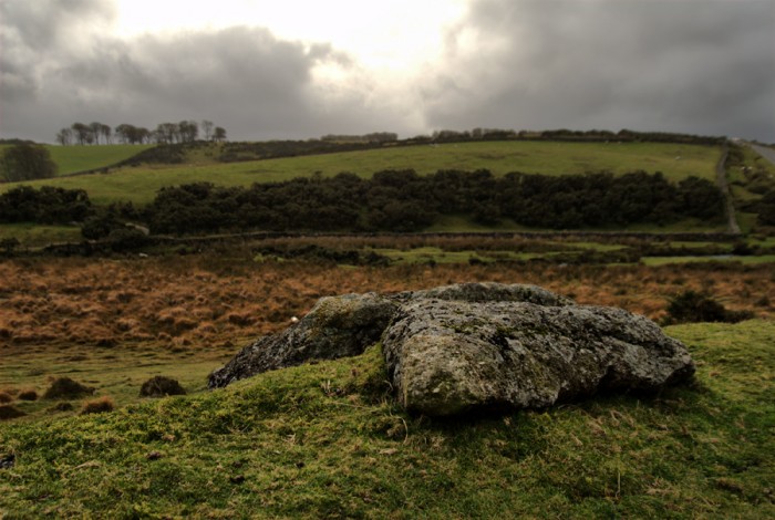 Stone, Dartmoor