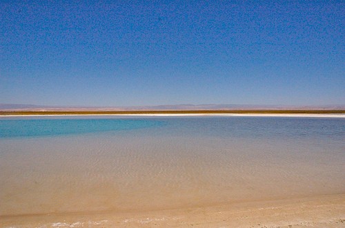 Laguna cejar, un paraíso en medio del desierto, una laguna con una horrible cantidad de sal y minerales, si te metes flotas, como en el mar muerto.