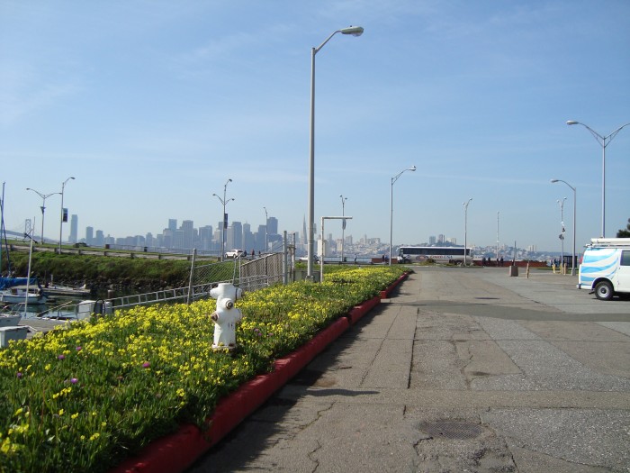 Views of San Francisco from Tiburon's Marina