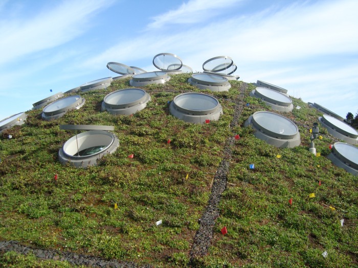 The roof, covered with grass, seems extraterrestrial