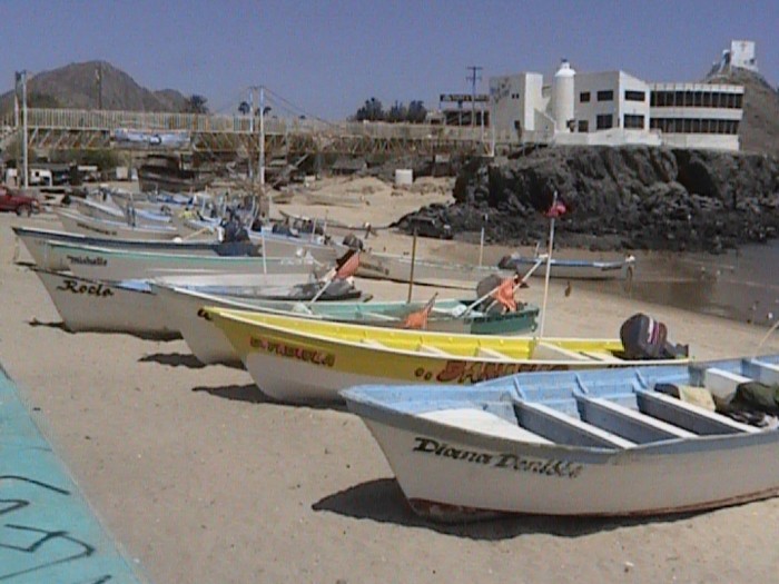 panga boats
