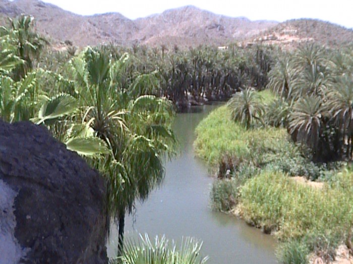 Lagoon and date palms in Mulege