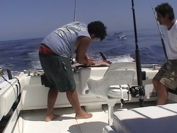 luis cleaning the fish on the boat