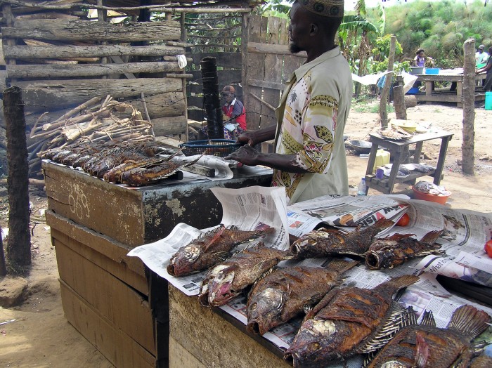Man selling fish near lake Victoria