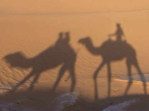 Shadow-portrait of me and my daughters on our camel trek in the Sahara Desert.